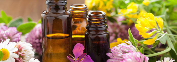 Chiropractic Windsor ON Naturopathic Chiropractic Windsor ON Naturopathic